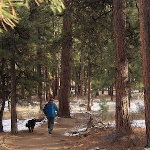 Best Places to Walk Your Dog in Aberdeen